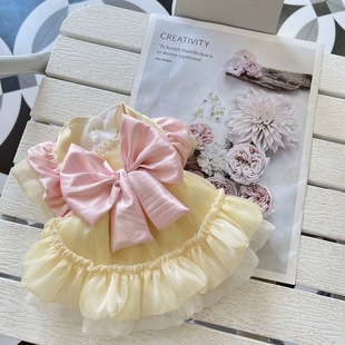 蕾丝蝴蝶结可爱公主裙洛丽塔女仆装 宠物衣服狗狗猫咪春夏季 薄款