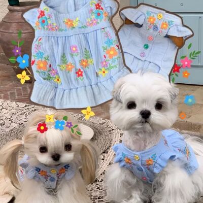 宠物衣服公主狗狗裙子小型犬泰迪猫咪格子比熊连衣裙夏季薄款