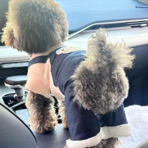 狗狗猫咪衣服宠物冬季时尚泰迪比熊雪纳瑞博美防雪棉服加厚四脚衣