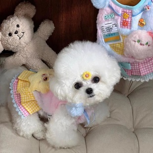 宠物秋冬绒衣衣服狗狗猫咪秋冬保暖可爱毛怪背心泰迪博美小马猫咪