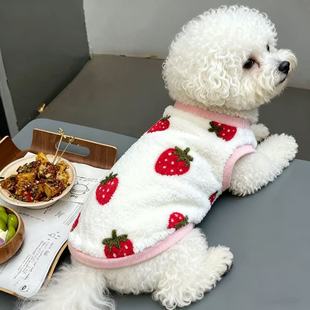 可爱羊羔毛草莓小背心 猫咪狗狗秋冬宠物保暖衣服马甲比熊