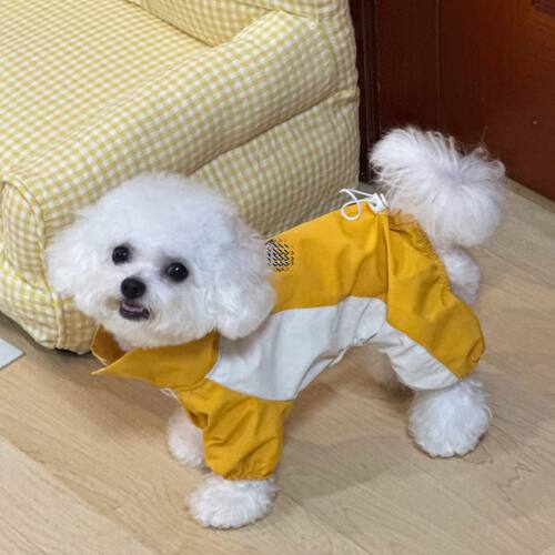 春秋薄款狗狗衣服小型犬泰迪外出防脏中型犬高级感夏季四脚冲锋衣