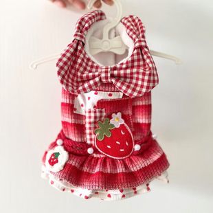 宠物猫咪狗狗秋冬新款 薄绒草莓连衣裙马尔济斯约克夏比熊西施