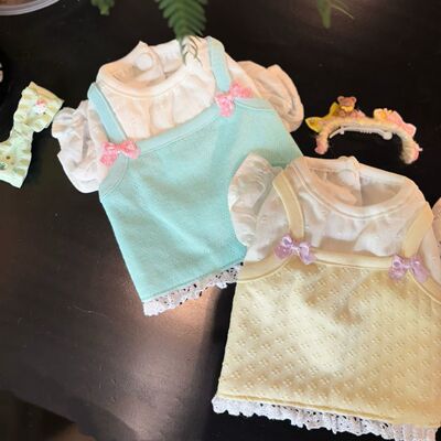 2025新款小狗狗衣服薄款比熊雪纳瑞宠物小型幼犬秋季假两件