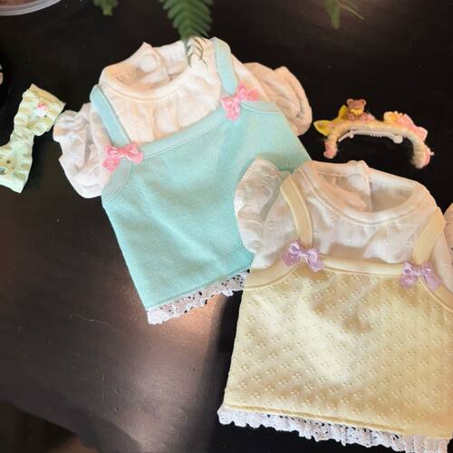 2025新款小狗狗衣服薄款比熊雪纳瑞宠物小型幼犬秋季假两件