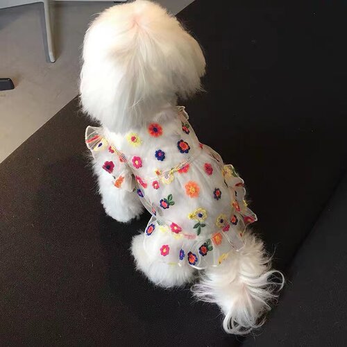 夏款薄纱裙小型犬猫咪狗防晒衣服