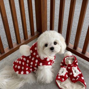 宠物秋冬季 圆点加绒保暖马甲新年外套泰迪比熊小型犬狗狗猫咪衣服