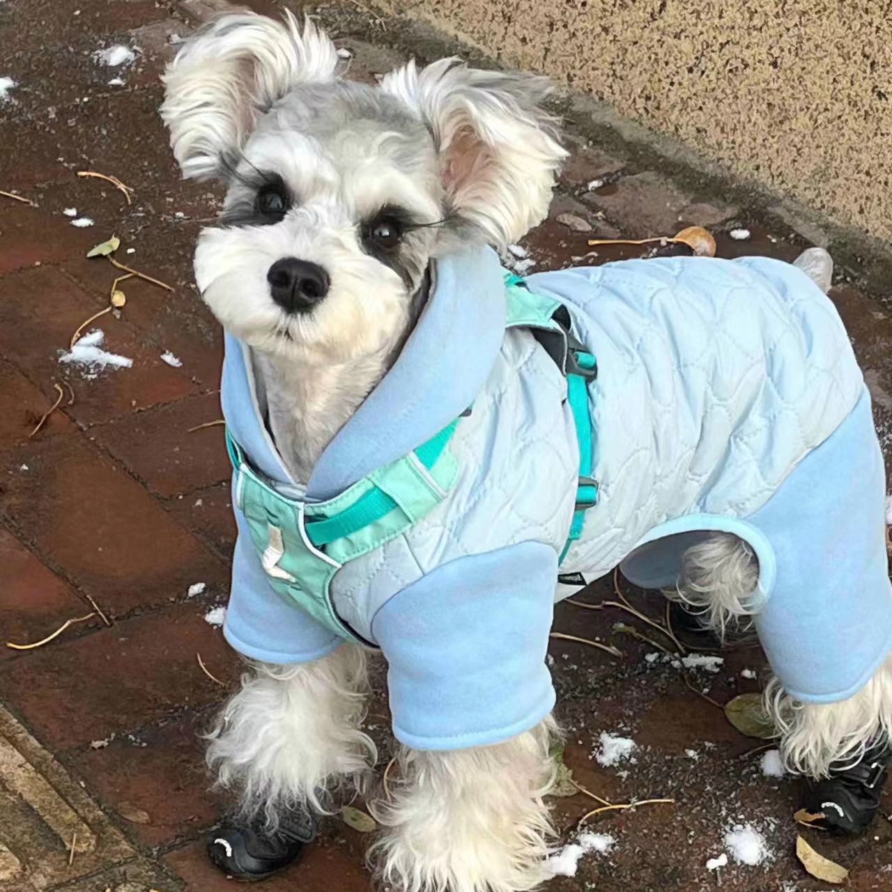 狗狗衣服冬装冬季棉服小型犬比熊博美幼犬小狗宠物保暖加厚四脚衣