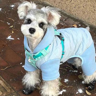 狗狗衣服冬装冬季棉服小型犬比熊博美幼犬小狗宠物保暖加厚四脚衣