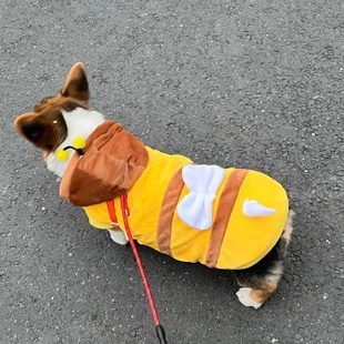 柯基蜜蜂变身装 两脚棉服金毛中型犬加厚衣服 可爱保暖冬季