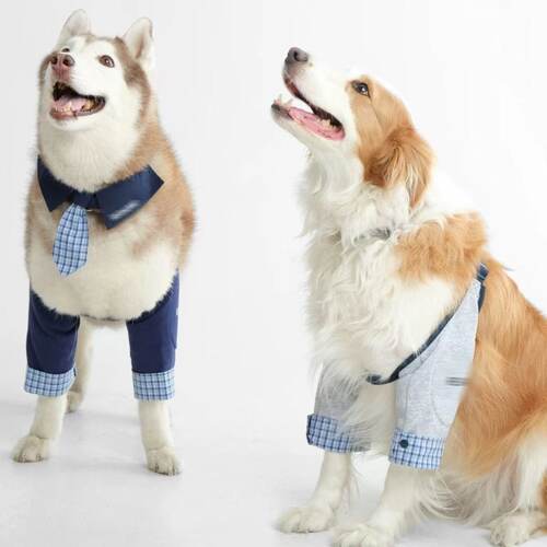 新品狗狗护肘保护套护腿金毛萨摩阿拉斯加哈士奇防脏护膝