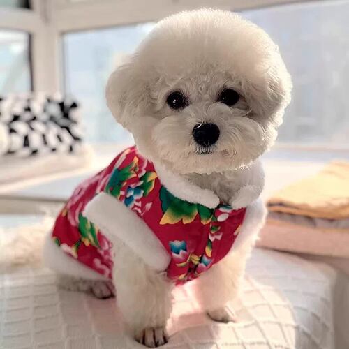 狗狗衣服冬季新年东北大花袄
