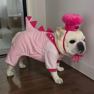 2024秋冬新款 比熊衣服中小型胖狗法斗巴哥可爱服饰 宠物狗狗背带裤