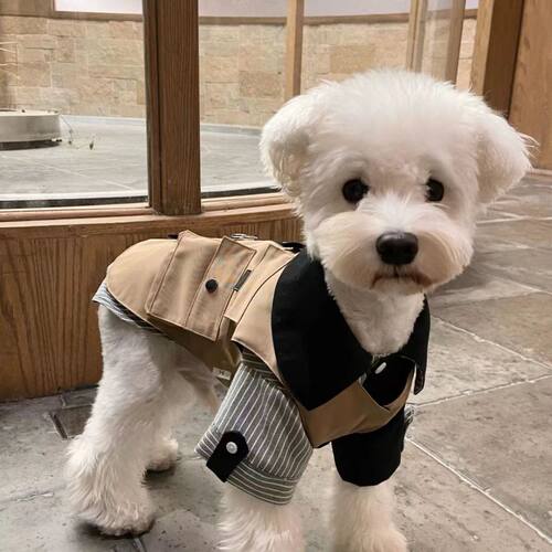 狗狗衣服春夏日系工装马甲背心宠物可牵引雪纳瑞比熊柴犬潮工外套