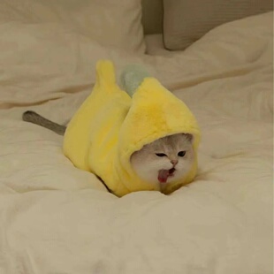 秋冬宠物搞怪香蕉变身装毛绒绒保暖外套恶搞狗狗衣服可爱连帽服装