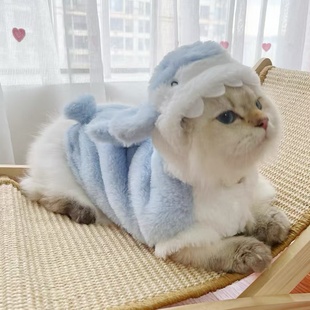 德文猫猫保暖猫咪狗狗冬装 猫衣服加绒鲨鱼变身装 秋冬搞怪小猫冬款