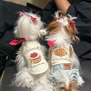 狗狗衣服约克夏宠物马尔济斯背心熊泰迪牛仔猫咪夏季 春夏 薄款
