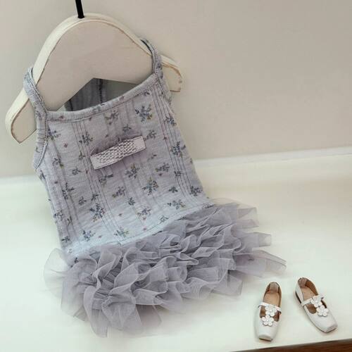 宠物小狗狗蕾丝花边裙衣服春夏款比熊泰迪博美猫咪小型犬裙子