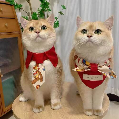 可爱围巾三角蝴蝶结小型围兜狗狗宠物口水猫咪围脖项圈宠物猫