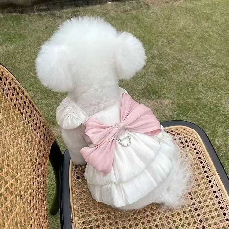 宠物衣服春夏新款流光透气纱裙泰迪比熊狗狗猫咪外出牵引薄款防晒