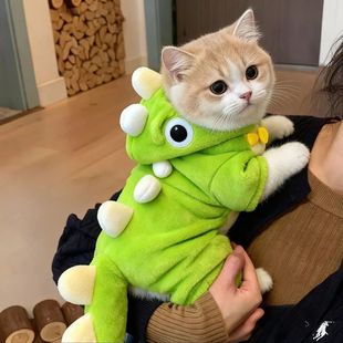 可爱搞笑猫咪衣服小狗狗秋冬装 泰迪比熊柯基法斗幼犬四脚衣宠物