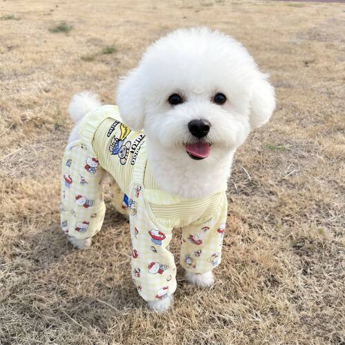 狗狗防尘裤遛弯春夏防脏防虫轻薄四脚腿套护腿小型犬春夏衣服