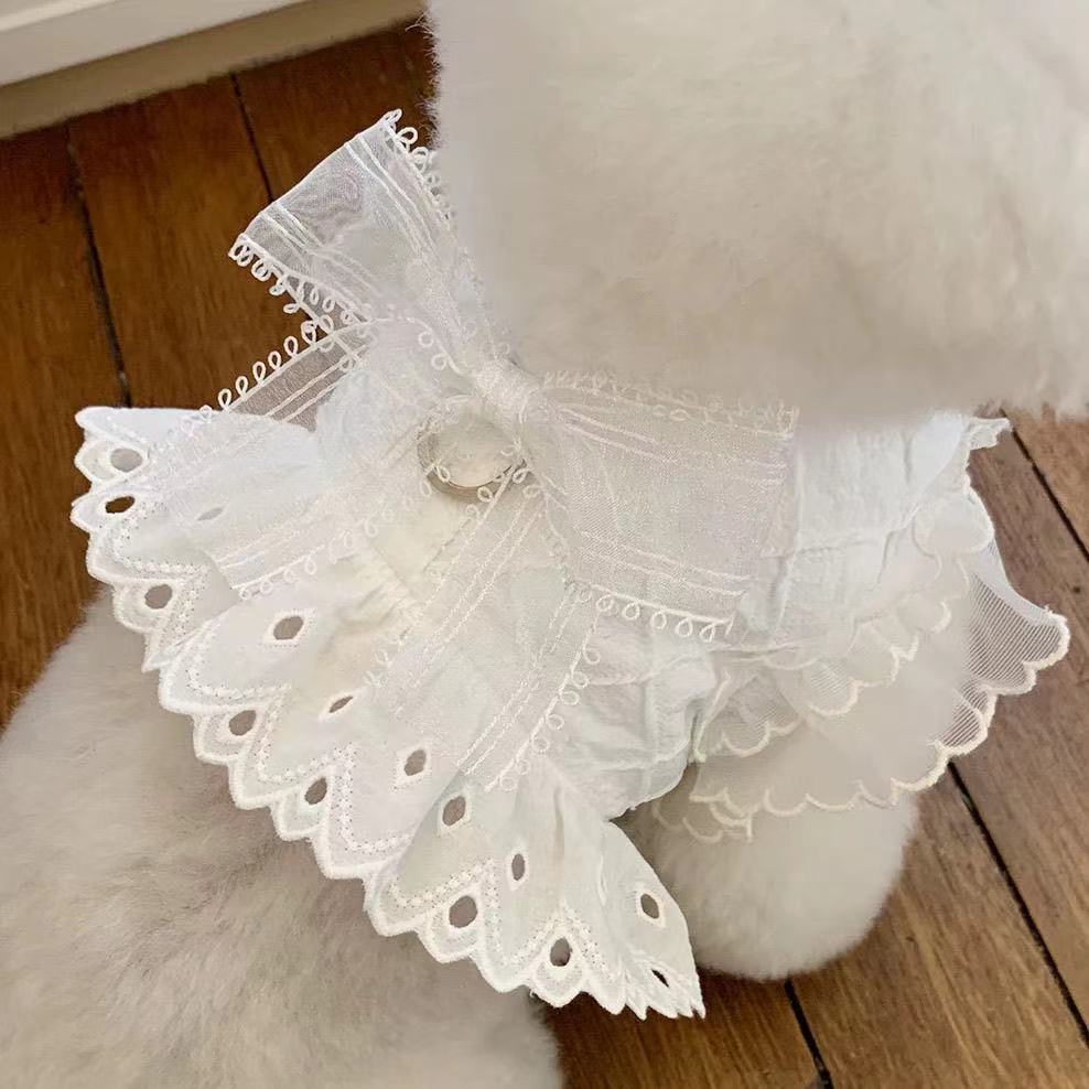 狗狗裙子牵引春夏薄新款猫咪衣服博美镂空蕾丝蝴蝶结小型犬牵引环