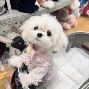 狗狗小香风开衫 秋天冬天小体幼犬 约克夏马尔济斯衣服猫衣服秋冬季