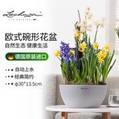 Lechuza德国进口灌溉树脂花盆桌面创意盆景储水仿石材cubeto
