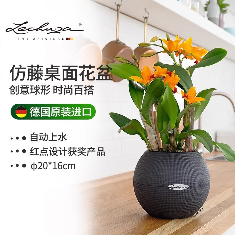 德国进口创意树脂材料