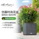Lechuza德国进口自动吸水花盆绿植酒店方形仿藤树脂花盆cube