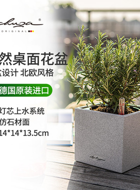 Lechuza德国进口家用花盆自动灌溉树脂桌面创意简约储水canto系列