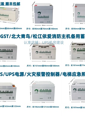 劲博北大青鸟松江依爱海湾消防主机备用蓄电池JP-6-FM/HSE12V24AH