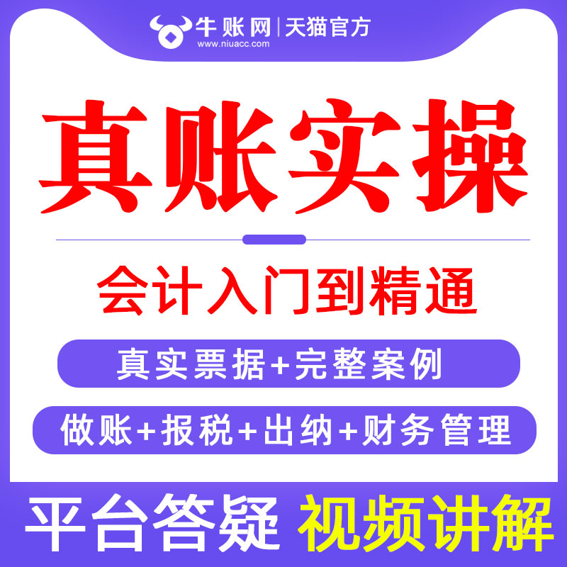 高清视频  全流程真账实操  零基础入门
