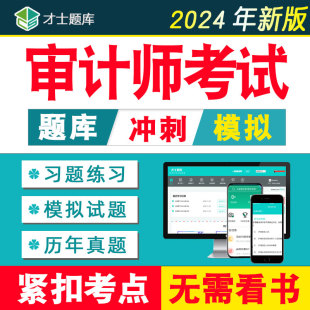 2024年初级中级审计师考试题库历年真题习题试题教材电子网课课程