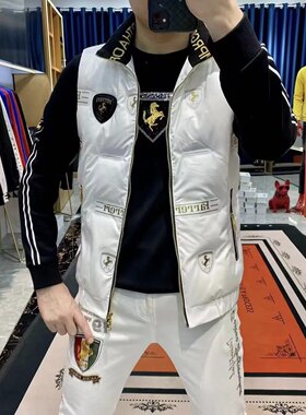 欧货版2024新款男士羽绒马甲立领白色高级感白鸭绒保暖背心潮外套