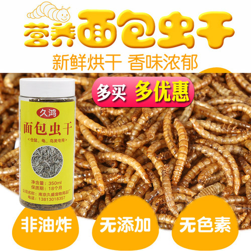 黄粉虫干面包虫干久鸿鸟鹦鹉鼠鱼