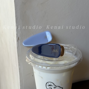 韩国进口深邃蓝色France醋酸鸭嘴夹法式高级感刘海夹侧边夹发卡女