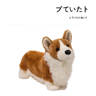 美国Douglas正版仿真动物柯基犬公仔狗狗玩偶毛绒玩具生日礼物