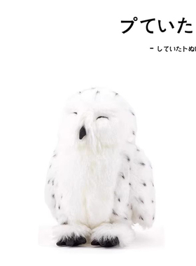 日本colorata正版仿真动物白色晚安猫头鹰公仔玩偶娃娃毛绒玩具