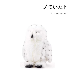 日本colorata正版仿真动物白色晚安猫头鹰公仔玩偶娃娃毛绒玩具