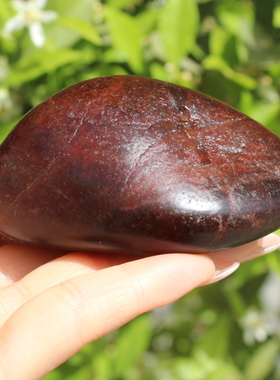 方言和田玉特色新疆老熟红沁籽料独籽原石象形龟壳摆件手把件A5