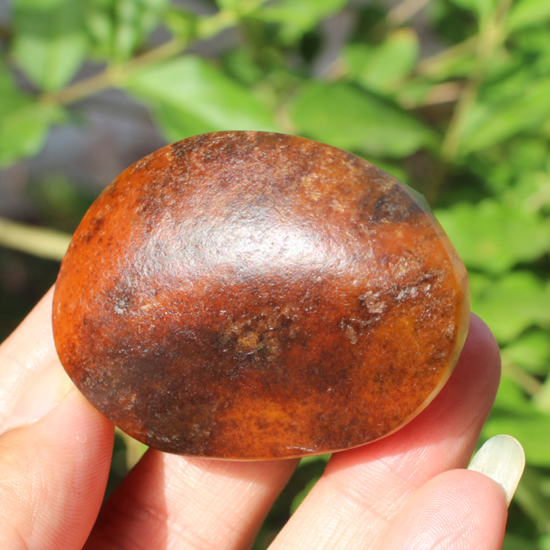 新疆黄沁皮青花籽料福寿绵长龟壳