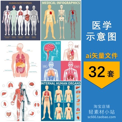 人体器官骨骼血管医学构造图说明图扁平插画图片ai矢量设计素材