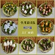 仿真食用菌模型假蘑菇羊肚菌牛肝菌鸡枞黄牛肝黑牛肝祖荪食物模型