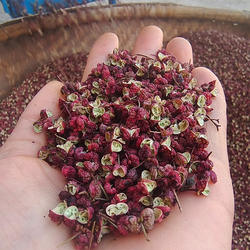 秦岭凤县大红袍花椒风椒双耳风椒