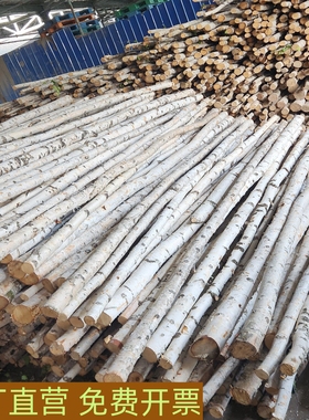 白桦树干树枝天然白桦木枯木杆美陈景观橱窗隔断婚庆拱门原木树桩