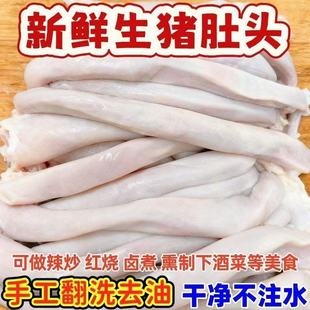 猪肚子头新鲜猪肚芯肚头红肠猪肚领猪肚带子肚子丝肚尖冷冻白猪肚
