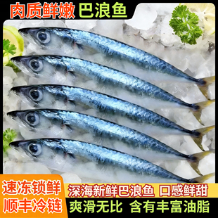 【买5斤送5斤】巴浪鱼野生新鲜活现捕冷冻海鲜鲅鱼棍子鱼顺丰包邮