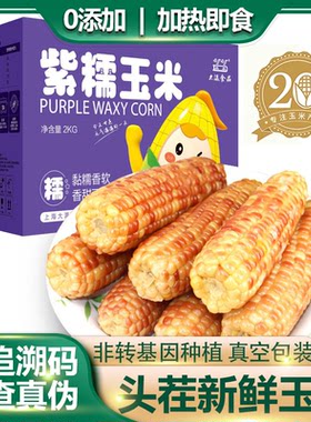 上海崇明特产大瀛紫糯玉米棒2kg礼盒真空4色白紫黑黄玉米加热食用